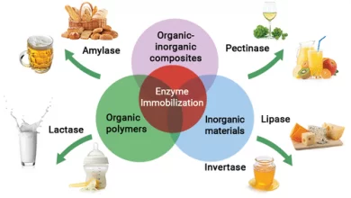 آنزیم ها و کاربرد آنها در صنایع غذایی